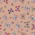 Colorfil beautiful butterflies illustrations Royalty Free Stock Photo