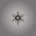 Vector snowflakes background Royalty Free Stock Photo