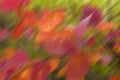 Abstract colorful background with autumn red orange leaves blurred background Royalty Free Stock Photo