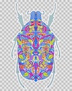 Abstract colorful beetle