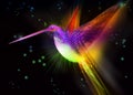 Abstract colorful bird. Hummingbird