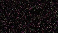 Abstract colorful bubbles flowing chaotically on black background, seamless loop. Animation. Festive pattern with Royalty Free Stock Photo