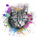 Abstract colorful cat muzzle illustration, graphic design concept