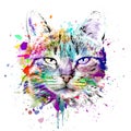 Abstract colorful cat muzzle illustration, graphic design concept