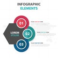 Abstract colorful circle hexagon business Infographics elements, presentation template flat design vector illustration for web