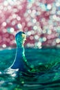Abstract, colorful composition with small bokeh lights, water drops and water texture
