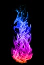 Abstract colorful Fire flames on black background Royalty Free Stock Photo