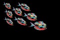 Abstract colorful fishes with black Background. Vector Illustration Royalty Free Stock Photo