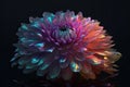 Abstract colorful flower fractal at black background Royalty Free Stock Photo