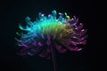 Abstract colorful flower fractal at black background Royalty Free Stock Photo