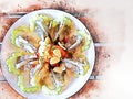 Colorful fresh shrimp for lunch watercolor illustration painting background.