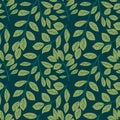 Abstract colorful Leaves background pattern - Illustration, Textile, Plant, Leaf, Wallpaper,white background,Painted Image