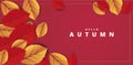Abstract colorful leaves decorated background for Hello Autumn advertising header or banner design. Paper cut art design. Vector
