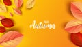 Abstract colorful leaves decorated background for Hello Autumn advertising header or banner design. Paper cut art design. Vector