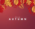 Abstract colorful leaves decorated background for Hello Autumn advertising header or banner design. Paper cut art design. Vector