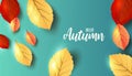 Abstract colorful leaves decorated background for Hello Autumn advertising header or banner design. Paper cut art design. Vector