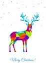 Abstract colorful low poly Xmas deer on white background.