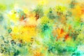 Abstract colorful modern painting . Textured background in shades of yellow , green and red