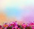 Abstract colorful oil painting red, pink cosmos flower Royalty Free Stock Photo