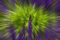 Abstract colorful purple, green blurred background with sage flower and abstract patterns
