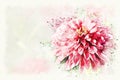 Colorful shape on pink flower blooming on watercolor illustration painting background. Royalty Free Stock Photo