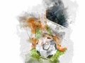 Abstract colorful soccer ball or football ball watercolor paint background.