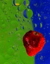 Abstract colorful strawberry