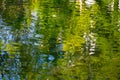 Abstract colorful structures on blurred water. Green reflections of trees in riffles pond Royalty Free Stock Photo