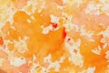 Abstract colorful watercolor hand drawn image, modern background, colorful shades on white. Autumn orange colored spots