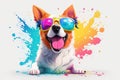 abstract colorfull portrait of smiling dog with sunglasses against a white design background, ai generative Royalty Free Stock Photo