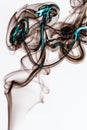 Abstract Colorfull smoke on white background Artistic