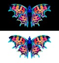 Abstract colourful butterfly