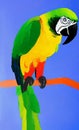 Gouache pet parrot painted by a child Royalty Free Stock Photo