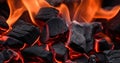 Abstract Composition of Burning Coals from a Fiery Blaze