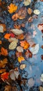 An abstract composition of colorful autumn leaves floating on a reflective water surface of a pond Royalty Free Stock Photo