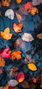 An abstract composition of colorful autumn leaves floating on a reflective water surface of a pond Royalty Free Stock Photo