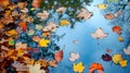 An abstract composition of colorful autumn leaves floating on a reflective water surface of a pond Royalty Free Stock Photo