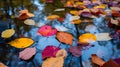 An abstract composition of colorful autumn leaves floating on a reflective water surface of a pond Royalty Free Stock Photo