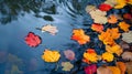 An abstract composition of colorful autumn leaves floating on a reflective water surface of a pond Royalty Free Stock Photo