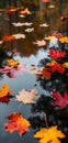 An abstract composition of colorful autumn leaves floating on a reflective water surface of a pond Royalty Free Stock Photo