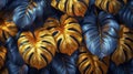 Abstract composition depicting golden tropical leaves of monstera on dark blue background. Texture of golden leaves contrasts Royalty Free Stock Photo