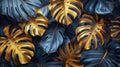 Abstract composition depicting golden tropical leaves of monstera on dark blue background. Texture of golden leaves Royalty Free Stock Photo