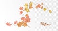 Flying Autumn Leaves Royalty Free Stock Photo