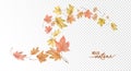 Flying Autumn Leaves Royalty Free Stock Photo