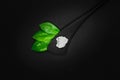 Abstract composition of green leaves, black wooden spatula and big sugar or salt crystal on black background with copy space