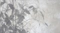 Abstract Composition Of Leaf Shadows On Textured Gray Wall Creating Serene Atmosphere Royalty Free Stock Photo