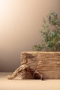 Abstract composition of old wooden plank and juniper branch