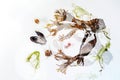 Abstract composition of seaweed, shells, sand and stranded goods as double exposure on a light background, concept for