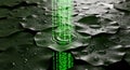 Digital Rain on Lily Pads Binary Code Nature Harmony Royalty Free Stock Photo