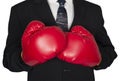 Abstract Concept Business Boxing Gloves Isolated